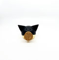 Divided Gold Piggy Bank