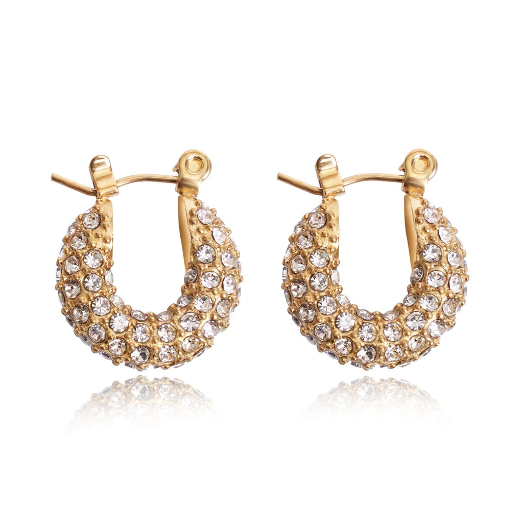 HEIDI Hoops