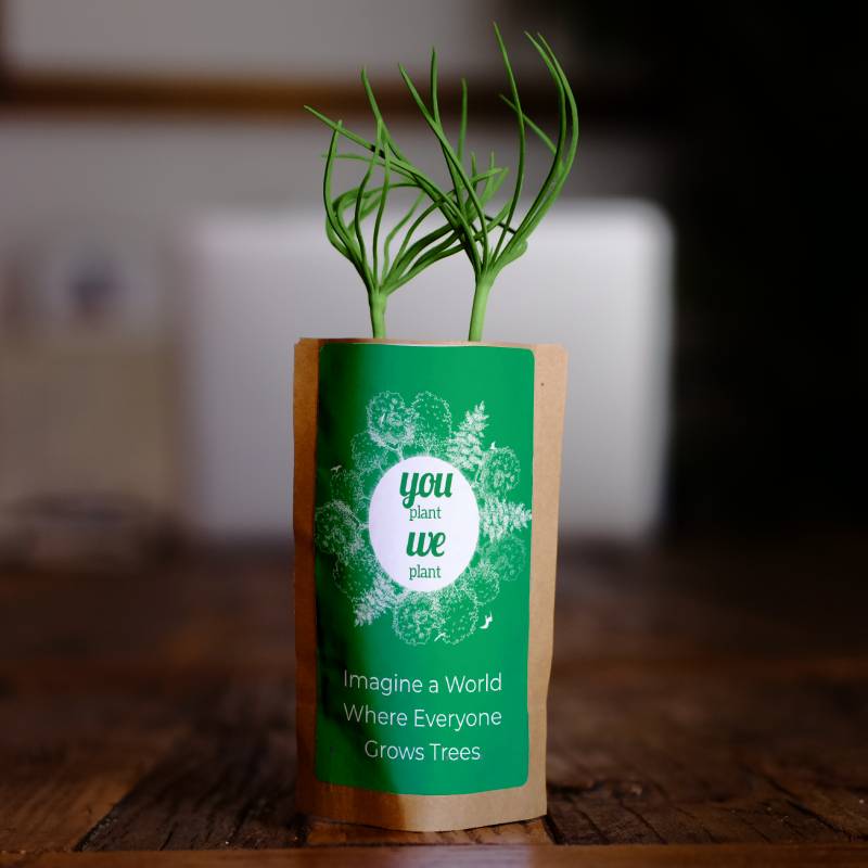 Guild Education - You Plant We Plant