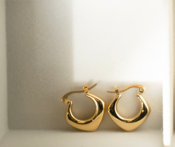 ARYANA Hoops